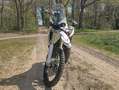 Kove 450 Rally Wit - thumbnail 4