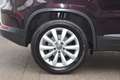 Volkswagen Tiguan Sky 2.0 TDI 4Motion / Service + Pickerl Neu / Top Violett - thumbnail 9