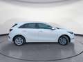 Kia Ceed / cee'd Vision // Komfort-Plus // SOFORT VERFÜGBAR Weiß - thumbnail 4