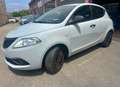 Lancia Ypsilon Ypsilon III 1.2 Elefantino Blu s ok neopatentati Gris - thumbnail 1