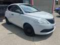 Lancia Ypsilon Ypsilon III 1.2 Elefantino Blu s ok neopatentati Gris - thumbnail 3