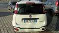 Fiat Panda Panda 1.0 FireFly S&S Hybrid City Cross Bianco - thumbnail 5