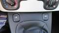 Fiat Panda Panda 1.0 FireFly S&S Hybrid City Cross Bianco - thumbnail 15