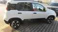 Fiat Panda Panda 1.0 FireFly S&S Hybrid City Cross Bianco - thumbnail 6