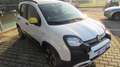Fiat Panda Panda 1.0 FireFly S&S Hybrid City Cross Bianco - thumbnail 7