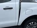 Ford Ranger Wildtrak Doppelkabine 4x4 AHK Navi LED Sperrdiff. Weiß - thumbnail 15