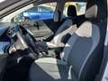 SEAT Ibiza 1.6 tdi Style 80cv - thumbnail 12