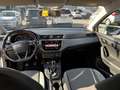 SEAT Ibiza 1.6 tdi Style 80cv - thumbnail 14