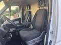 Fiat Ducato DUCATO 35 2.3 MJT 130CV PLM-SL-TA FURGONE MAXI Weiß - thumbnail 9