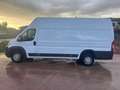 Fiat Ducato DUCATO 35 2.3 MJT 130CV PLM-SL-TA FURGONE MAXI Weiß - thumbnail 10
