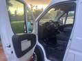 Fiat Ducato DUCATO 35 2.3 MJT 130CV PLM-SL-TA FURGONE MAXI Weiß - thumbnail 8