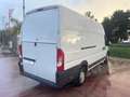Fiat Ducato DUCATO 35 2.3 MJT 130CV PLM-SL-TA FURGONE MAXI Weiß - thumbnail 4