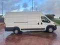 Fiat Ducato DUCATO 35 2.3 MJT 130CV PLM-SL-TA FURGONE MAXI Weiß - thumbnail 3