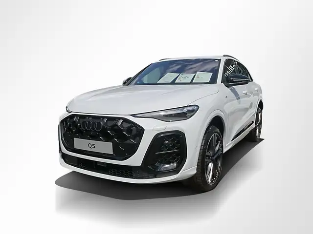 Audi Q5 view 13
