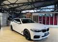 BMW 520 d xDrive M Sport*PANO*KAMERA*LED*NAVI*STDHZG Blanc - thumbnail 8