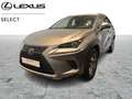 Lexus NX 300h Executive Line Gris - thumbnail 1