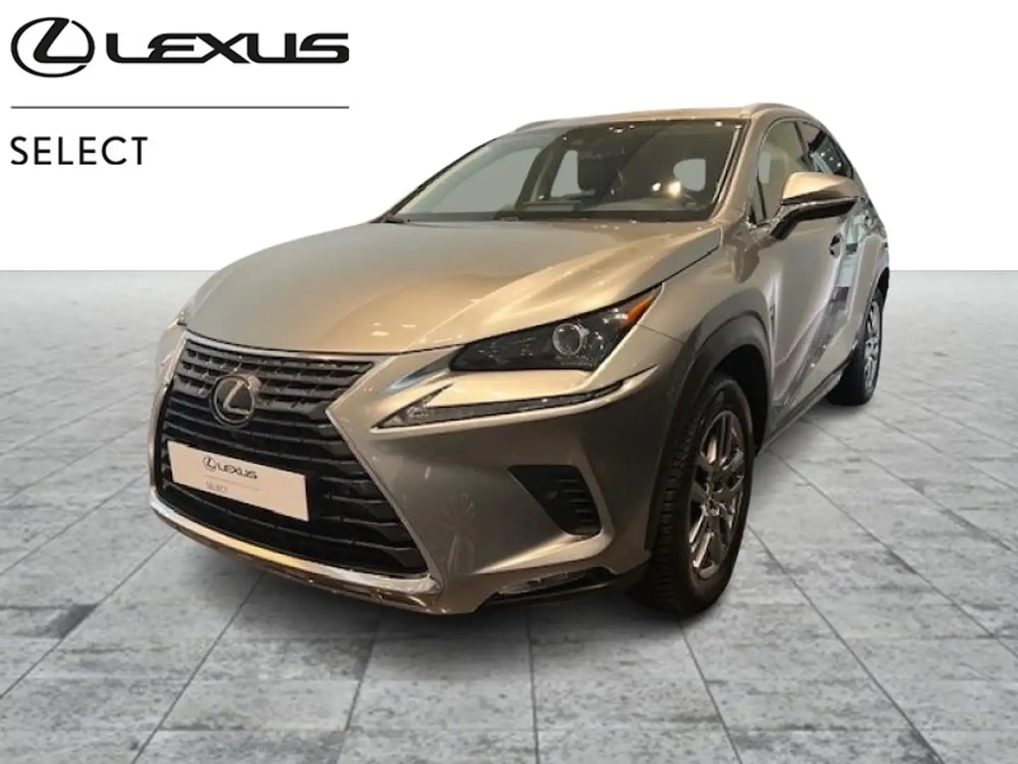 Lexus NX 300h Executive Line Gris - 1