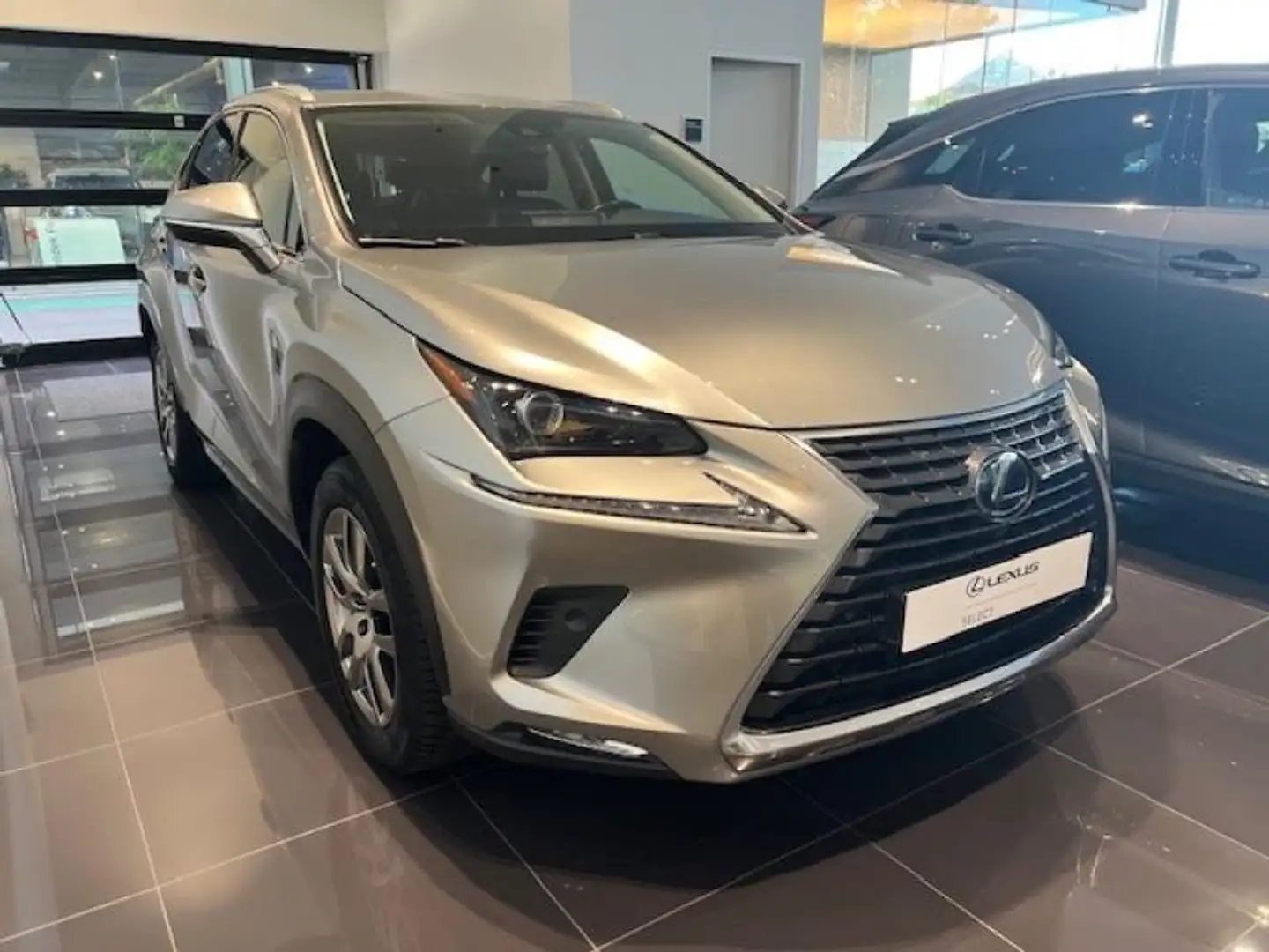 Lexus NX 300h Executive Line Gris - 2