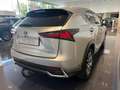 Lexus NX 300h Executive Line Gris - thumbnail 3