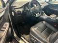 Lexus NX 300h Executive Line Gris - thumbnail 7