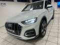 Audi Q5 40 TDI Mild-Hybrid QUATTRO ADVANCED Weiß - thumbnail 15
