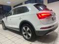 Audi Q5 40 TDI Mild-Hybrid QUATTRO ADVANCED Weiß - thumbnail 6