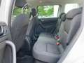 Skoda Yeti 2.0 TDI Elegance 4x4|Schiebedach|Xenon|Navi Blanc - thumbnail 9
