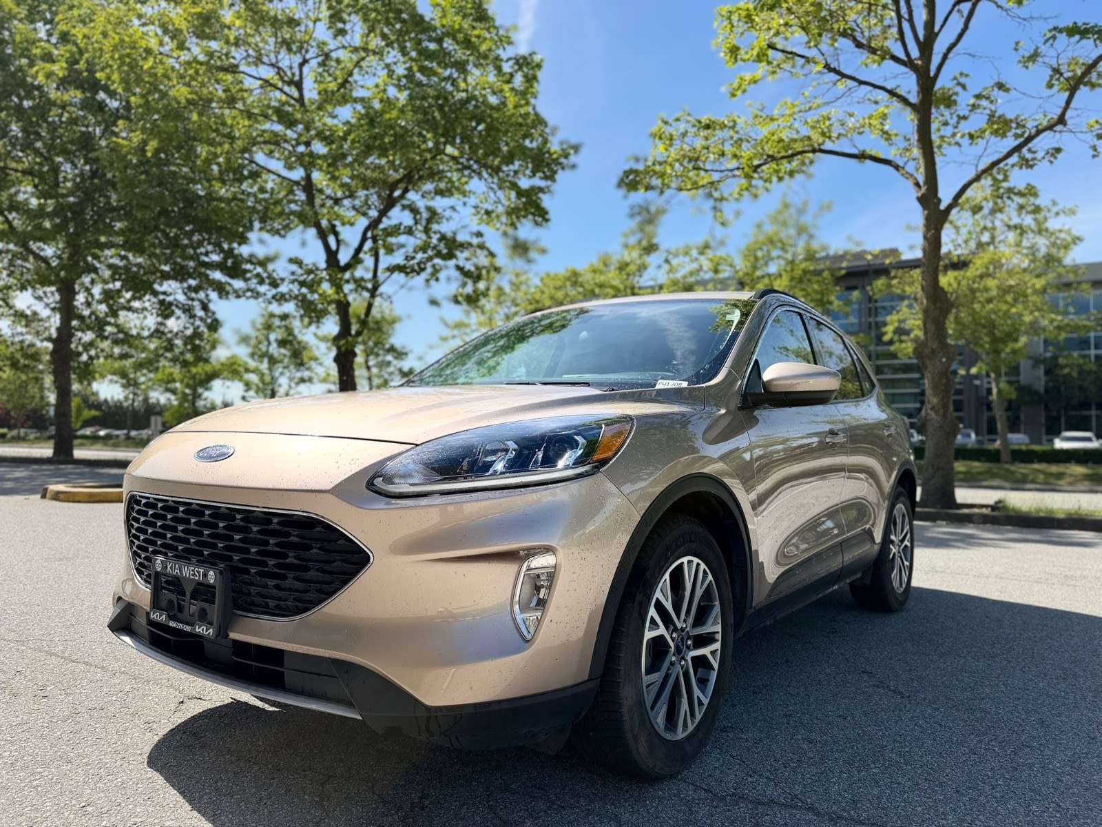 2021 Ford Escape Hybrid