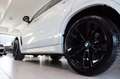 BMW X6 M d M-Sport*HUD*Standhzg.*B&O*KAM*NAVI*Aero Blanc - thumbnail 8