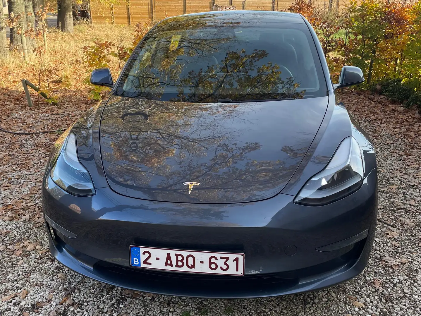 Tesla Model 3 Model 3 Langstreckenbatt. Allradantrieb Dual Motor Argent - 2
