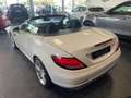 Mercedes-Benz SLC 250 SLC 250 d Premium auto Weiß - thumbnail 8