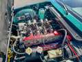 Lotus Excel SE Grün - thumbnail 12
