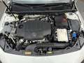 Mercedes-Benz CLA 220 CLA 220 d AMG Line Weiß - thumbnail 25
