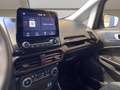 Ford EcoSport 1.0 ecoboost ST-Line s&s 125cv my20.25 Gris - thumbnail 10