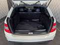 Mercedes-Benz C 300 T*AMG*TEMPO-KLIMA-BI XENON-SHZ-LM 18" Weiß - thumbnail 5