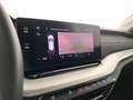 Skoda Octavia wagon 2.0 tdi evo executive 150cv dsg Argento - thumbnail 15