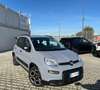 Fiat Panda 1.0 FireFly S&S Hybrid City Life Gris - thumbnail 1
