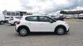 Citroen C3 BlueHDi 100 S&S Business Combi 4 Posti N1 Bianco - thumbnail 5