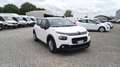 Citroen C3 BlueHDi 100 S&S Business Combi 4 Posti N1 Bianco - thumbnail 4