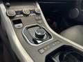 Land Rover Range Rover Evoque 5p 2.0 td4 HSE Dynamic 150cv auto Grigio - thumbnail 12
