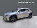 Lexus UX 250h 2.0 Business Gris - thumbnail 7