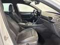 CUPRA Leon Sportstourer 1.5 TSI 110 Blanco - thumbnail 5