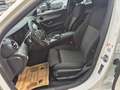 Mercedes-Benz E 200 E 200d Aut. Blanc - thumbnail 16