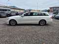 Mercedes-Benz E 200 E 200d Aut. Blanc - thumbnail 2