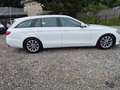 Mercedes-Benz E 200 E 200d Aut. Blanc - thumbnail 6