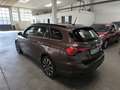 Fiat Tipo Tipo SW II 2016 SW 1.6 mjt Lounge s Marrone - thumbnail 8