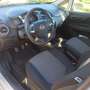 Fiat Punto Punto III 2012 5p 1.4 easypower Street Gpl E6 Grigio - thumbnail 33