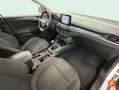 Ford Focus 1.0 Ecoboost 92kW Active Blanco - thumbnail 13