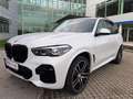 BMW X5 xDrive30d 48V Aut.*7SITZE* Weiß - thumbnail 10