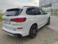 BMW X5 xDrive30d 48V Aut.*7SITZE* Weiß - thumbnail 6
